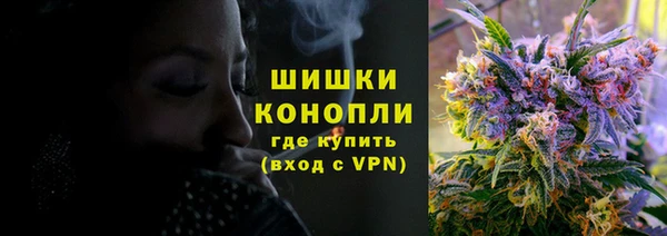 прущие грибы Абдулино