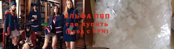 прущие грибы Абдулино