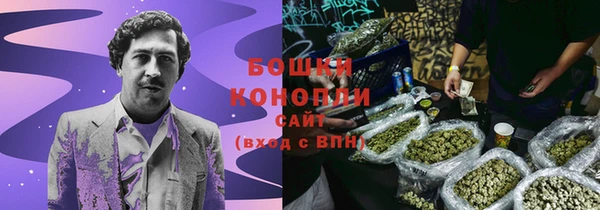 прущие грибы Абдулино