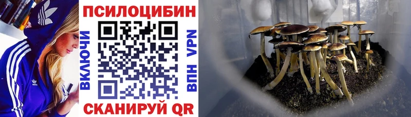 blacksprut вход  Домодедово  Галлюциногенные грибы ЛСД 
